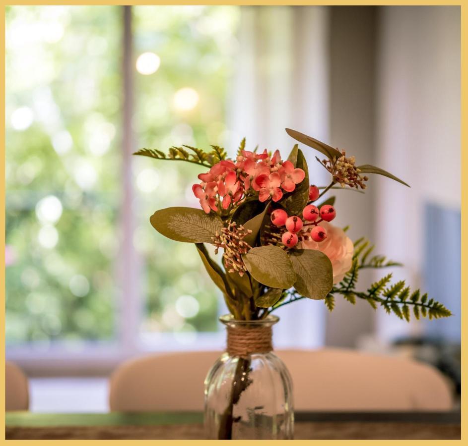 Charmant Appartement Centre Ville טונון-לה-בן מראה חיצוני תמונה